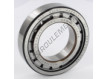 NJ210-ECJ-C3-SKF