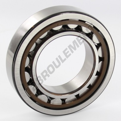 NJ210-ECP-SKF