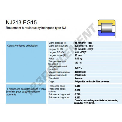 NJ213EG15-SNR