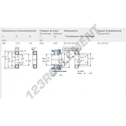 NJ219-ECP-SKF