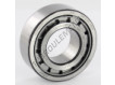 NJ2206-ECJ-SKF