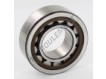 NJ2206-ECP-SKF