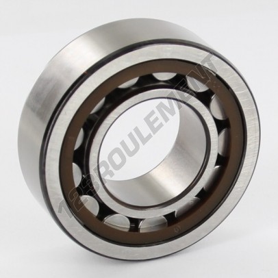 NJ2206-ECP-SKF