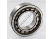 NJ2210-ECP-C3-SKF