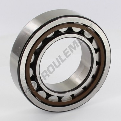 NJ2210-ECP-SKF