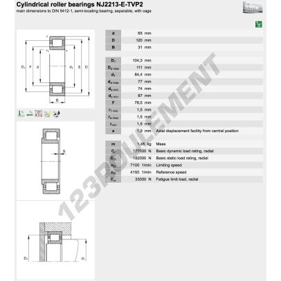 NJ2213-E-XL-TVP2-FAG