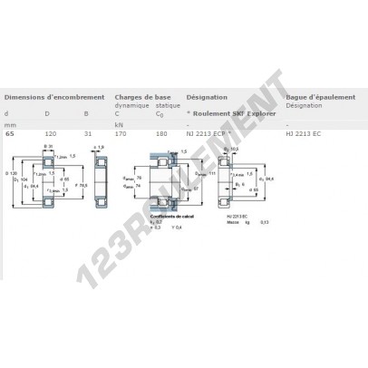 NJ2213-ECP-SKF
