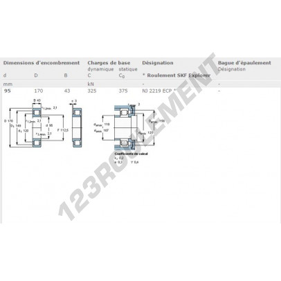 NJ2219-ECP-SKF