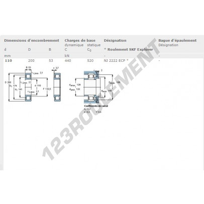 NJ2222-ECP-SKF