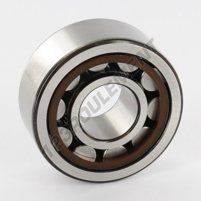 NJ2304-ECP-SKF
