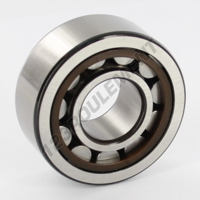 NJ2305-ECP-C3-SKF