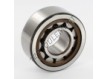 NJ2305-ECP-SKF