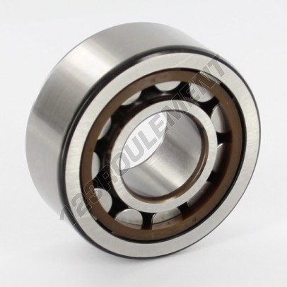 NJ2305-ECP-SKF