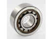 NJ2306-ECP-C3-SKF