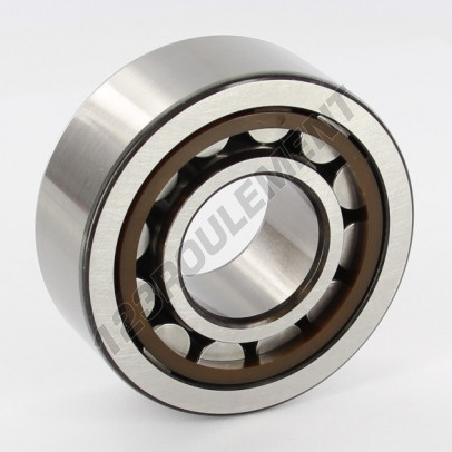 NJ2306-ECP-C3-SKF