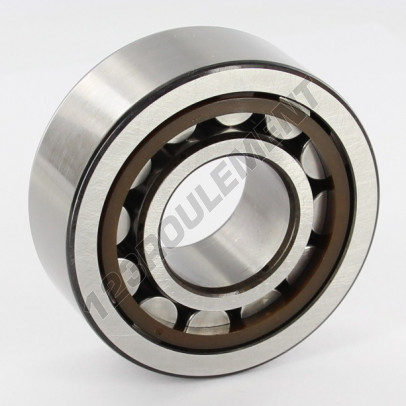 NJ2306-ECP-SKF