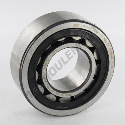 NJ2309-E-TVP2-C3-FAG