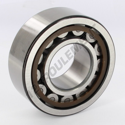 NJ2309-ECP-C3-SKF