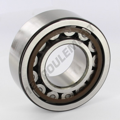 NJ2309-ECP-SKF