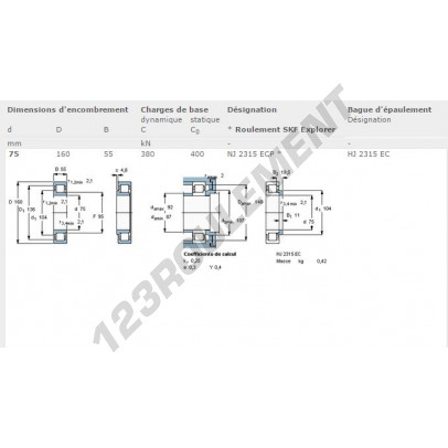 NJ2315-ECP-SKF
