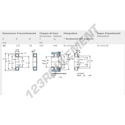 NJ2316-ECP-SKF