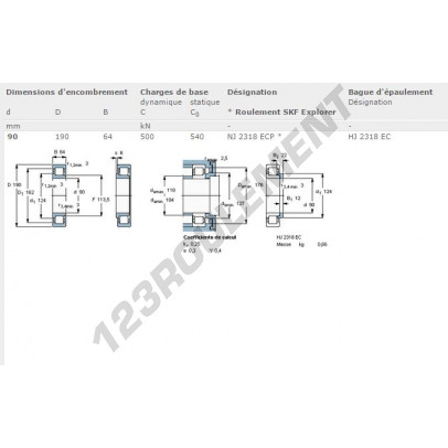 NJ2318-ECP-SKF