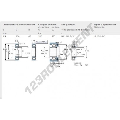 NJ2319-ECJ-SKF