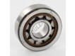 NJ303-ECP-SKF