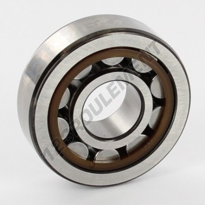 NJ303-ECP-SKF