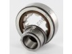 NJ303-ECP-SKF