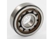 NJ304-ECP-C3-SKF