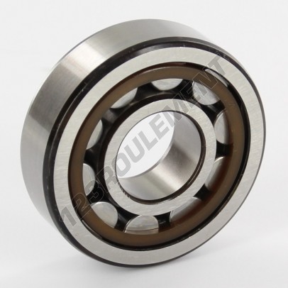 NJ304-ECP-C3-SKF