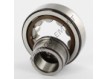 NJ304-ECP-C3-SKF