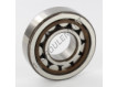 NJ305-ECP-C3-SKF