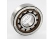 NJ305-ECP-C4-SKF