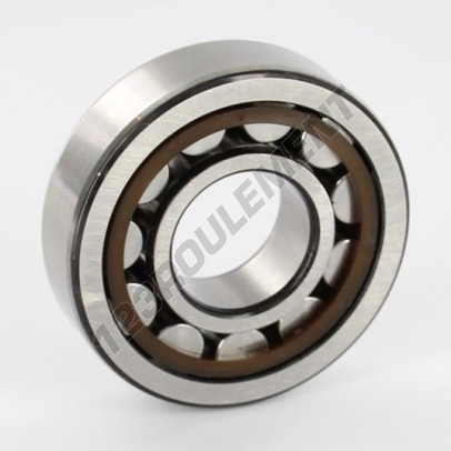 NJ305-ECP-C4-SKF