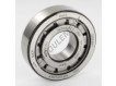 NJ306-ECJ-C3-SKF