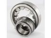 NJ306-ECJ-C3-SKF