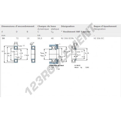 NJ306-ECML-SKF