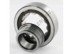 NJ306-ECP-C3-SKF
