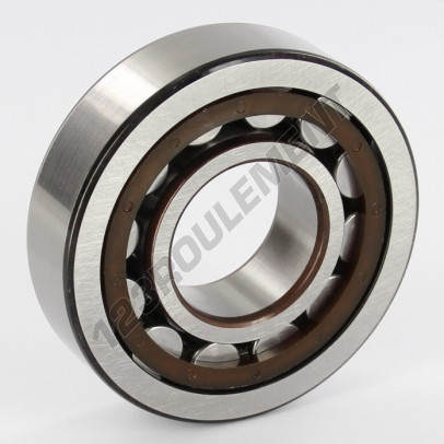 NJ306-ECP-C4-SKF