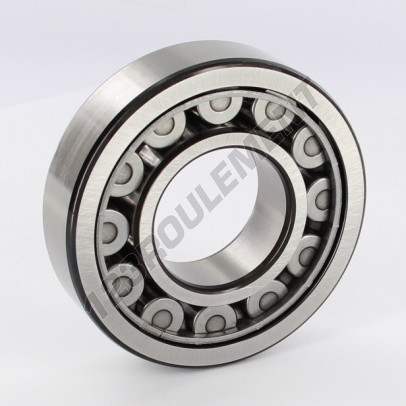 NJ308-ECJ-C3-SKF