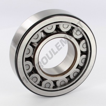 NJ308-ECJ-SKF