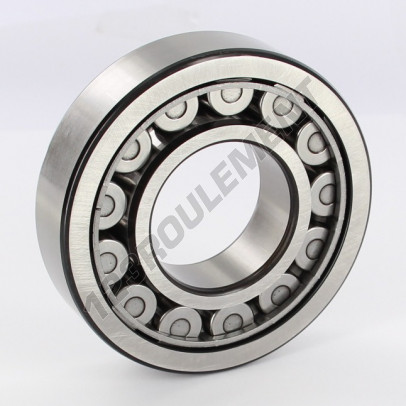 NJ309-ECJ-C3-SKF
