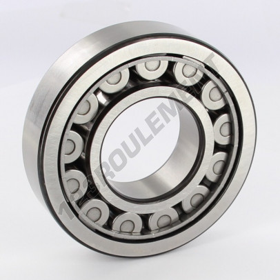 NJ309-ECJ-SKF