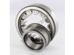 NJ309-ECJ-SKF