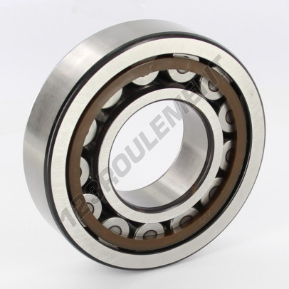 NJ309-ECP-C3-SKF