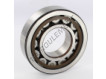 NJ309-ECP-SKF