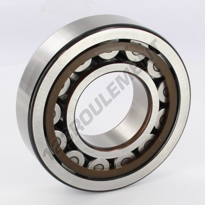 NJ309-ECP-SKF