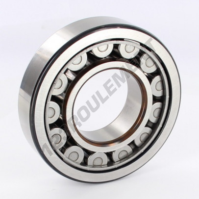 NJ310-ECJ-SKF